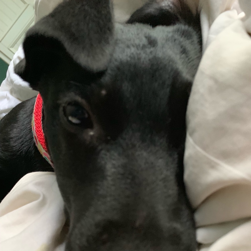 Meet your Posher, Maddy